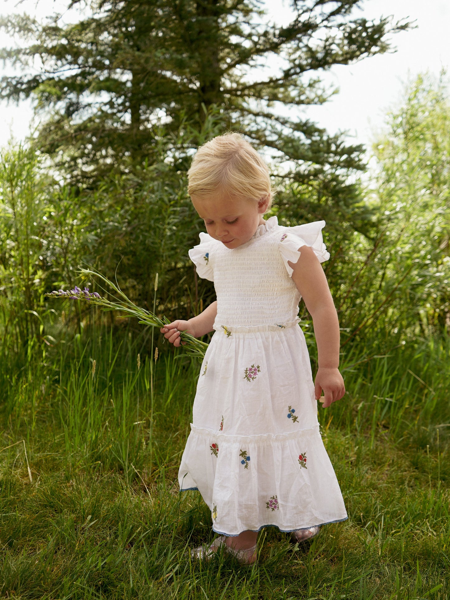Little Lady Field Dress