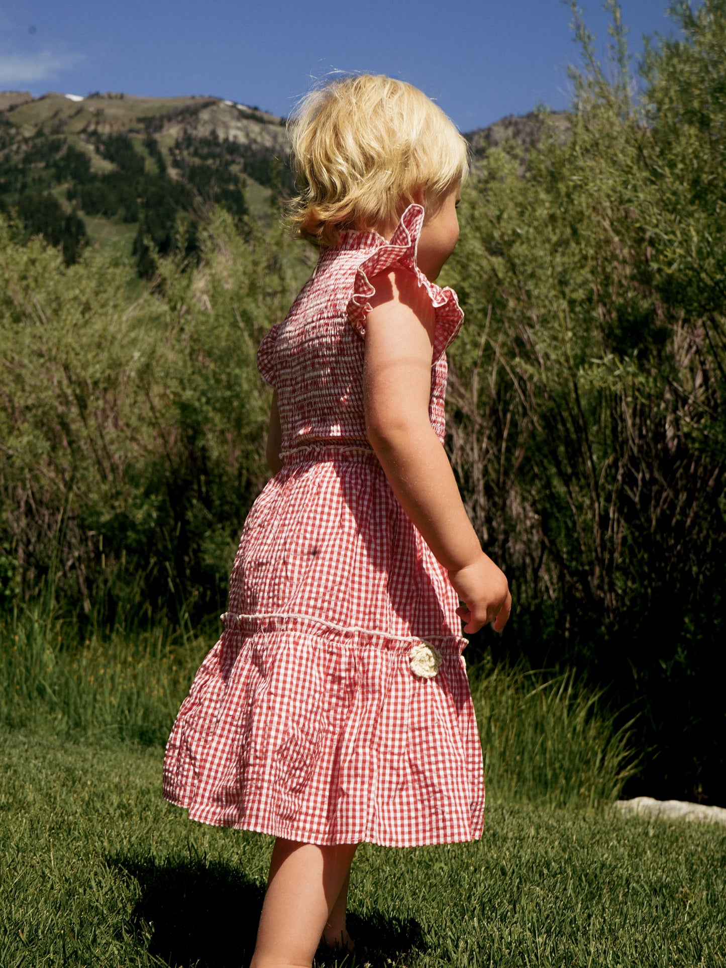 Little Lady Field Dress