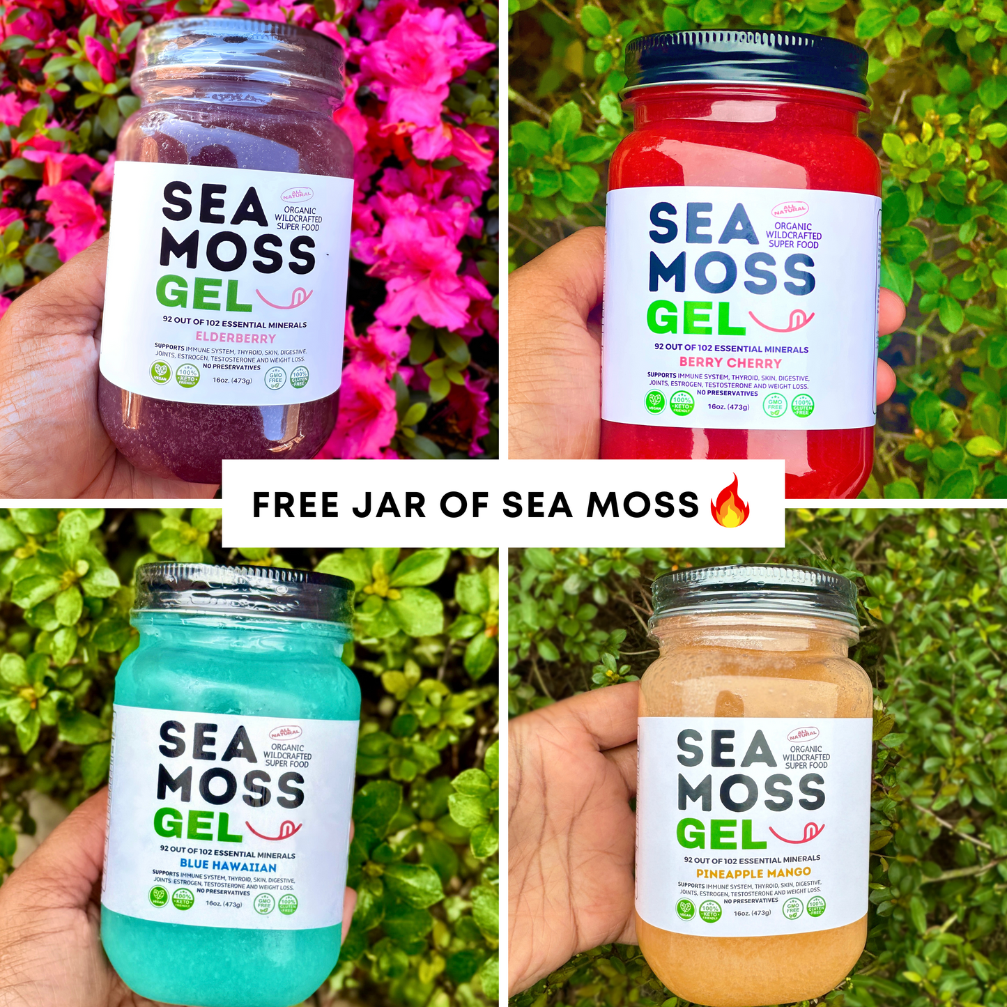 Flavored 100% Raw Organic Sea Moss Gel Wild Harvested - Dr. Sebi Inspired