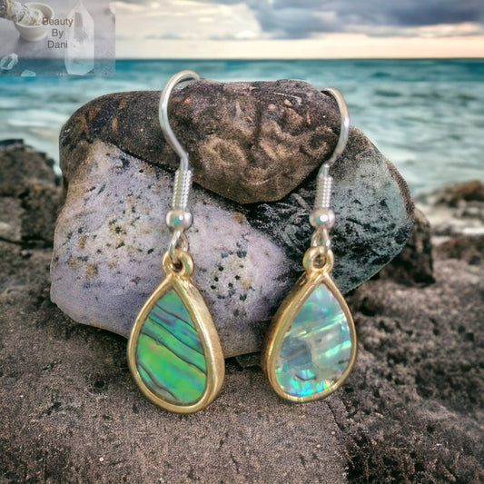Hypoallergenic Abalone Earrings with Stainless Steel Posts Jewelry