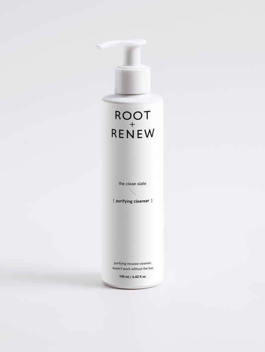 The Clean Slate – Purifying Gel Cleanser