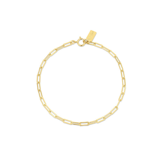 14k Gold Filled Paperclip Chain Bracelet Rylan The First Layer