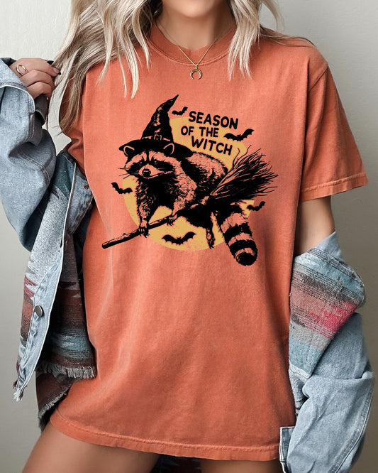 Cute Raccoon Halloween Meme T-Shirt Comfort Colors