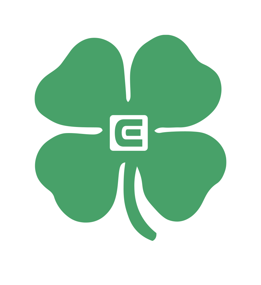 Coliseum Fit Shamrock Edition Phantom Black Digital Watch Rockwell