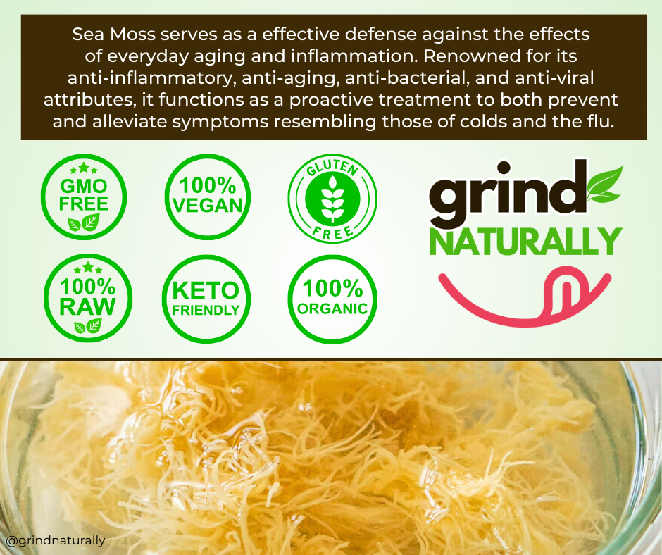 Flavored 100% Raw Organic Sea Moss Gel Wild Harvested - Dr. Sebi Inspired