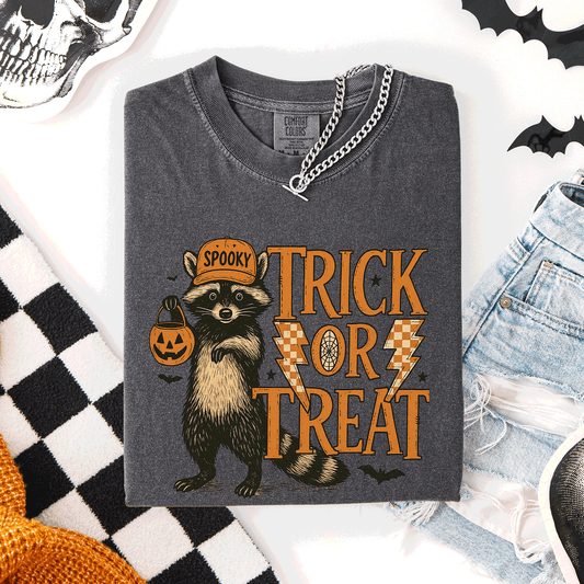 Trick or Treat Raccoon, Cute, Halloween, Spooky, Comfort Colors T-Shirt