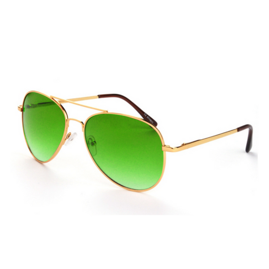 Polarized Lenses Polycarbonate Frames Coastline Sunglasses Margaritaville