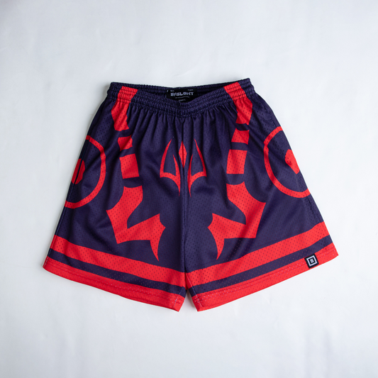 Air Ventilation Mesh Premium Version Above Knee Fit Unisex Shorts Curse King