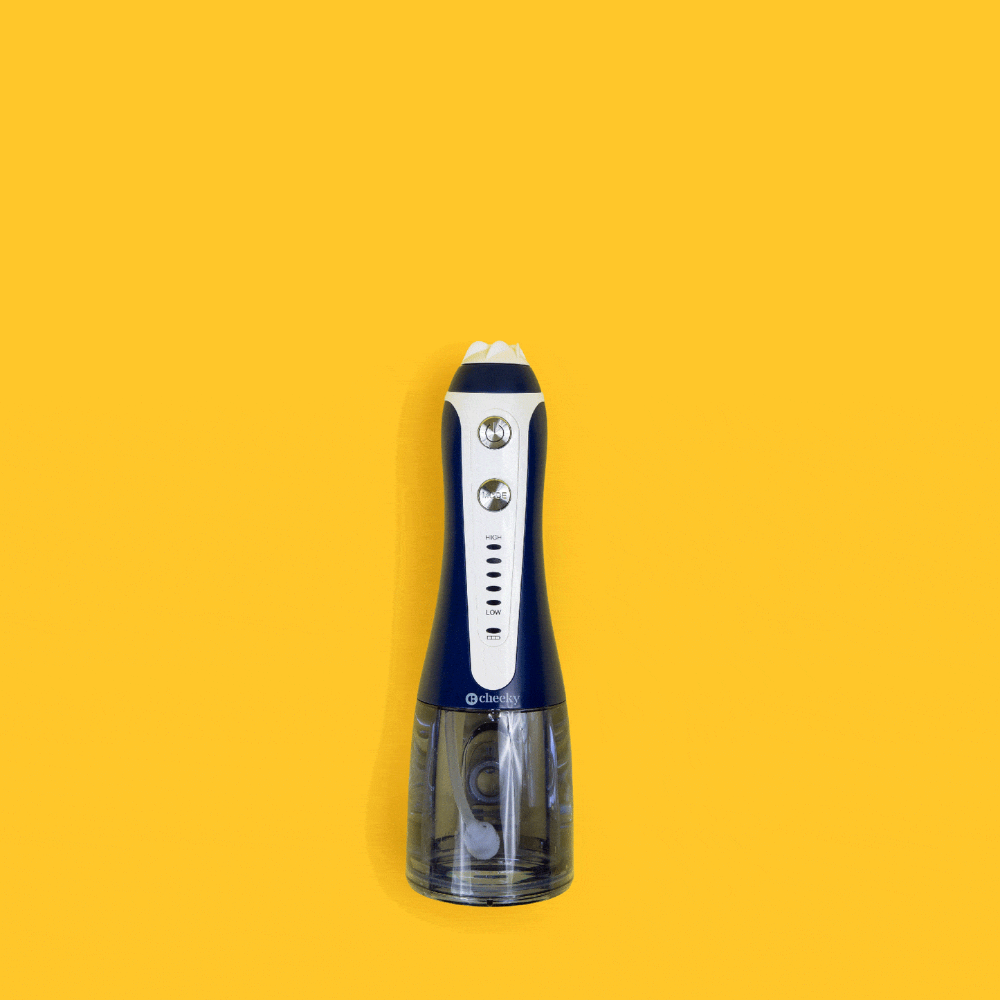 Water Flosser Adjustable Pressure Dental Cleaner Cheeky