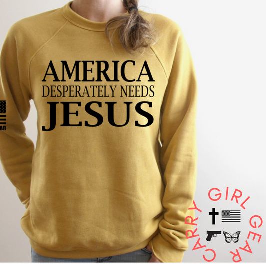 AMERICA DESPERATELY NEEDS JESUS HOODIE & SWEATSHIRT