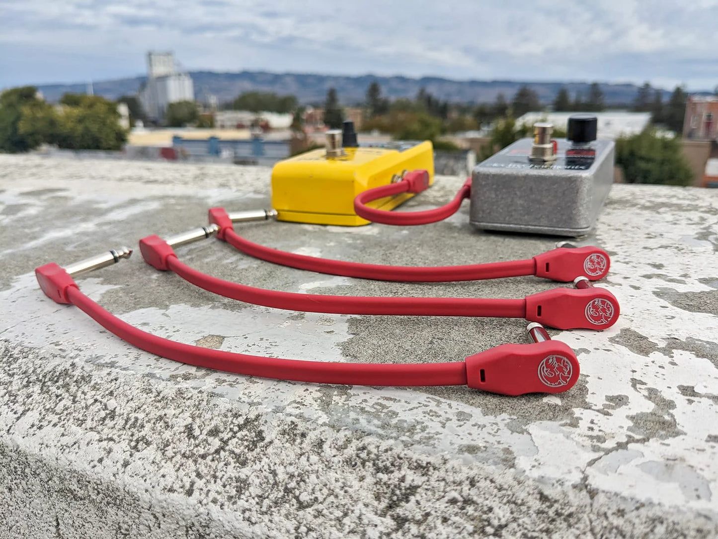 Pig Hog PHLSK6CA Lil Pigs 6in Low Profile Patch Cables - 4 pack, Candy Apple Red-NEW