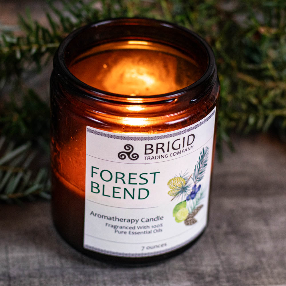 Forest Blend Juniper Pine Balsam Cedar Lime Soy Wax Candle Brigid Trading Company