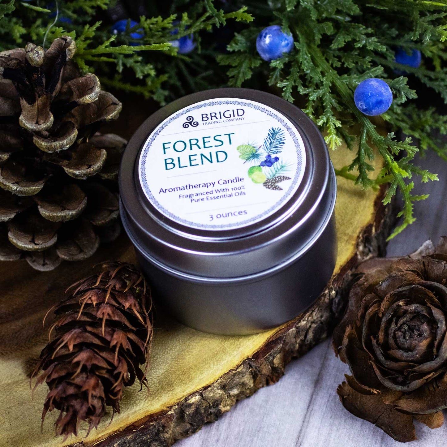 Forest Blend Juniper Pine Balsam Cedar Lime Soy Wax Candle Brigid Trading Company
