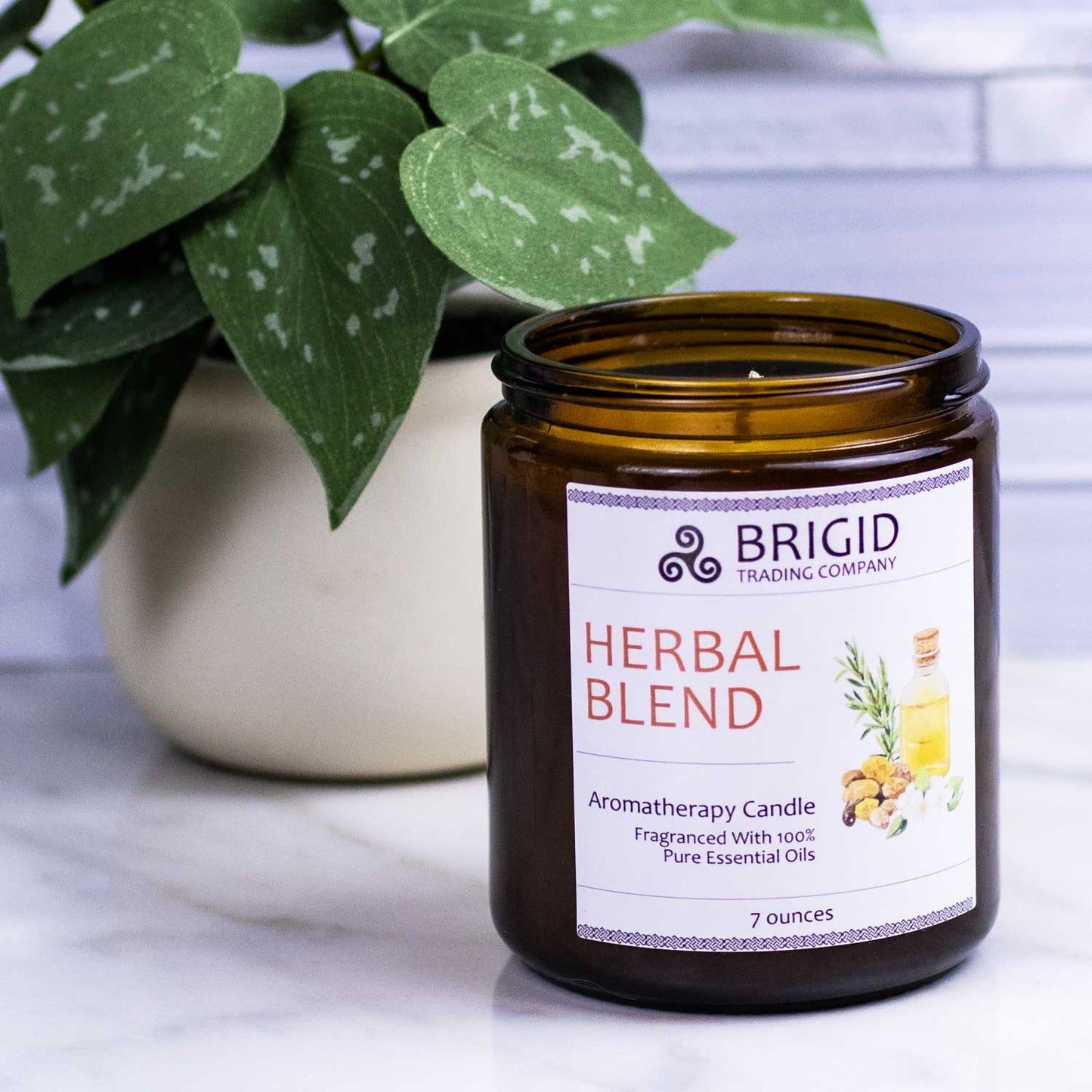 Herbal Blend Soy Wax Candle Frankincense Rosemary Myrtle