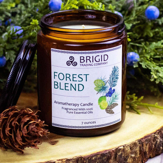 Forest Blend Juniper Pine Balsam Cedar Lime Soy Wax Candle Brigid Trading Company