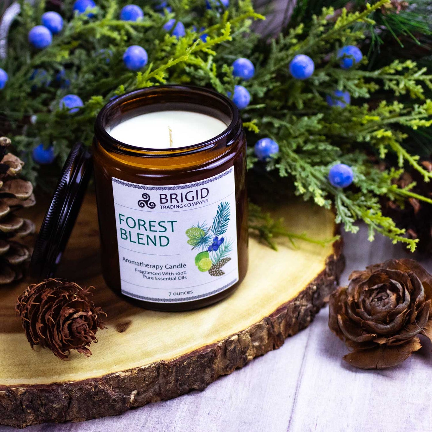 Forest Blend Juniper Pine Balsam Cedar Lime Soy Wax Candle Brigid Trading Company