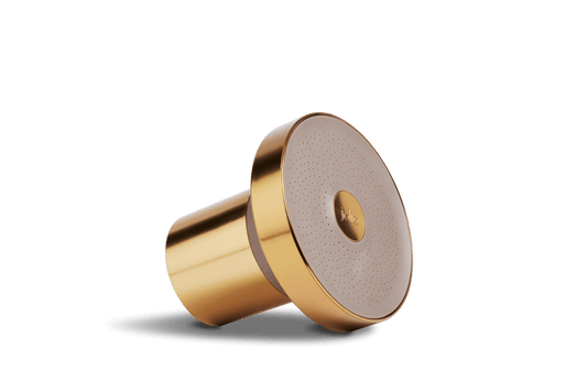 Filtered Brushed Showerhead Jolie Skin Co. Jolie