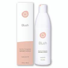 Blush Lightweight Conditioner 12oz Hair Conditioner Sunlights