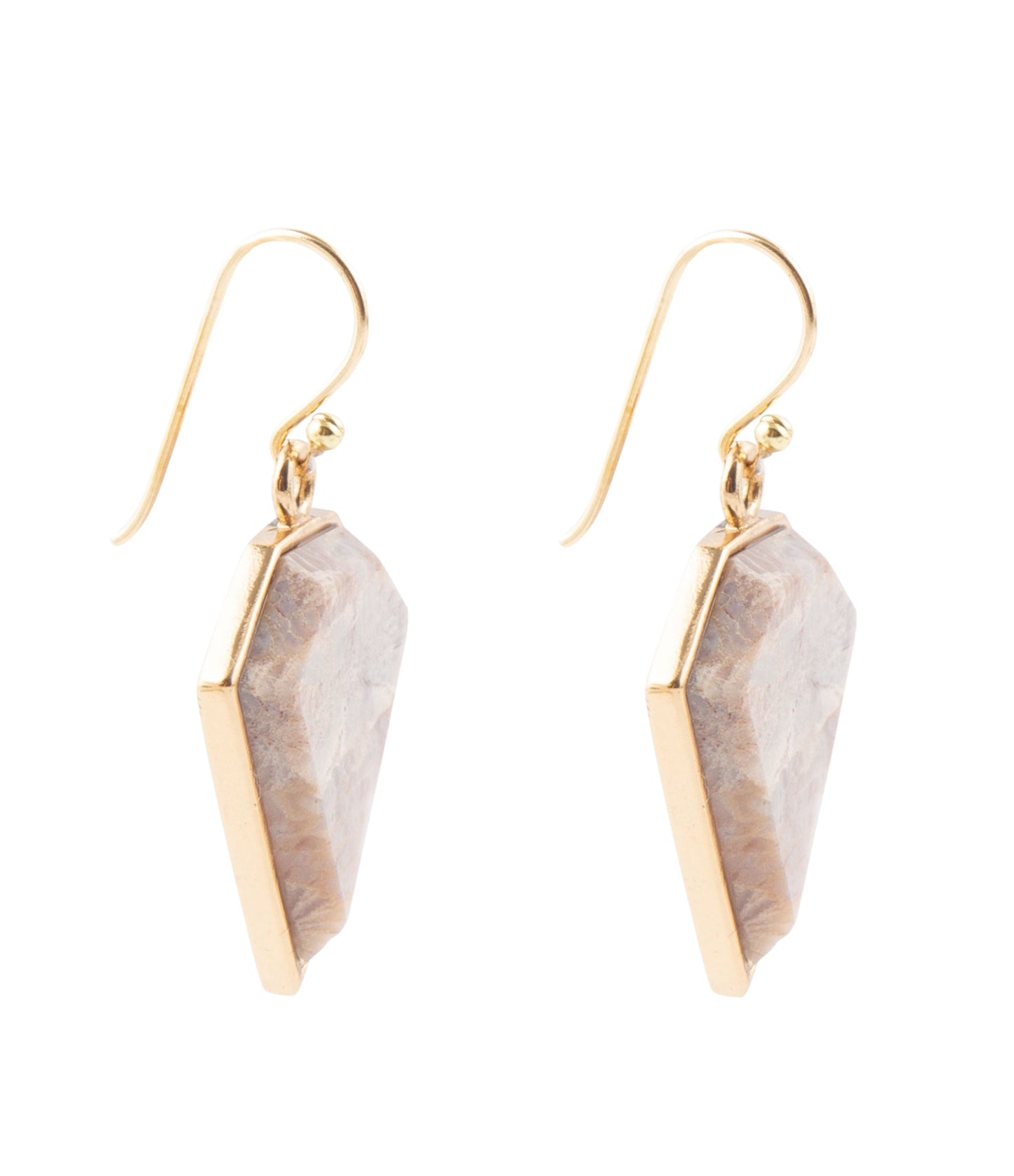 Lafayette Fossilized Coral Earrings