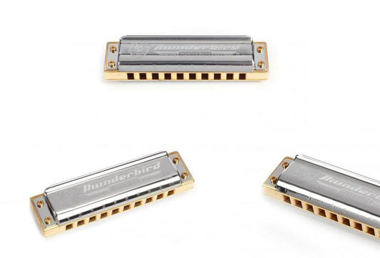 Hohner Marine Band Thunderbird Low Low F Diatonic Harmonica