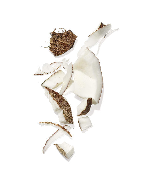 Hydrating Mekabu Shampoo Hair Care MASAMI