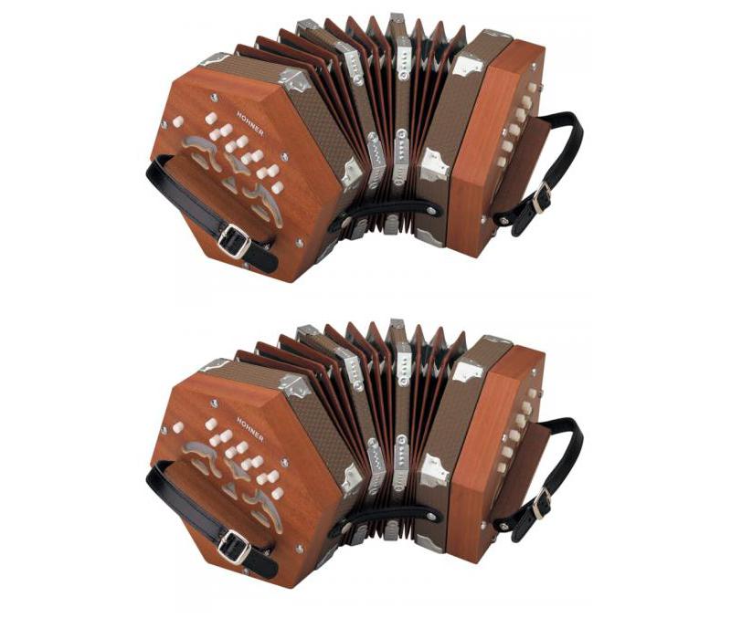 Hohner D40 20 Key C Concertina