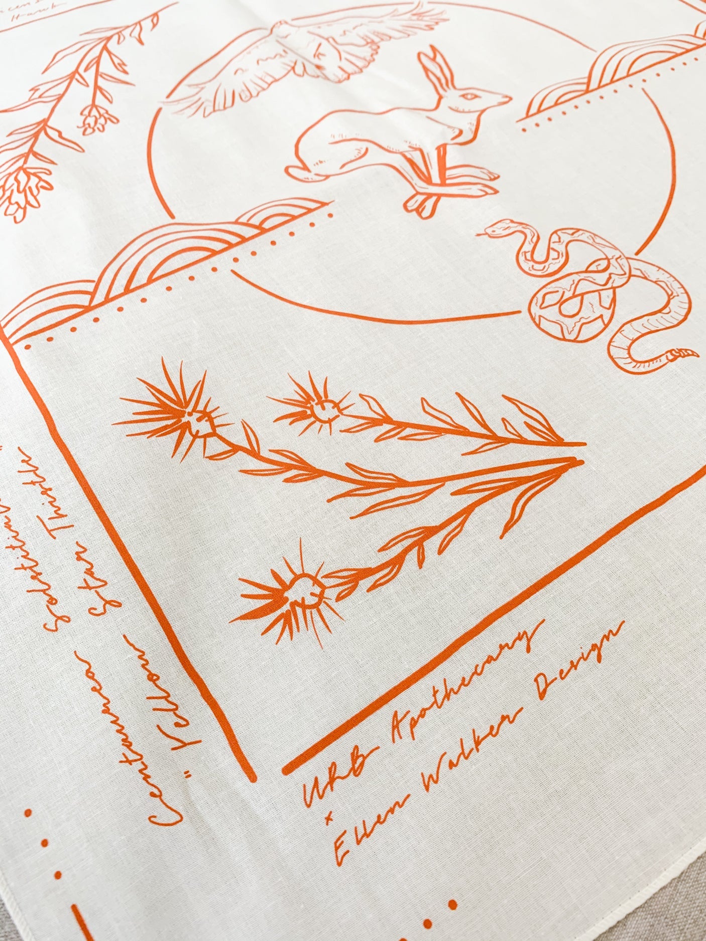Field Guide Collaborative Cotton Bandana