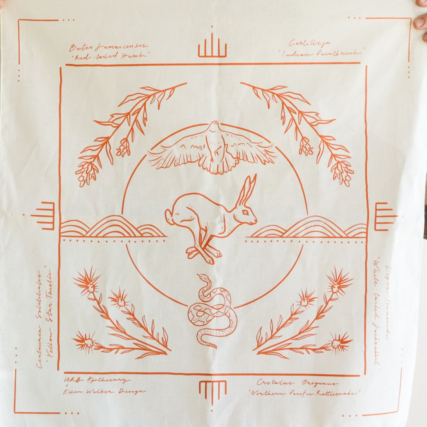Field Guide Collaborative Cotton Bandana
