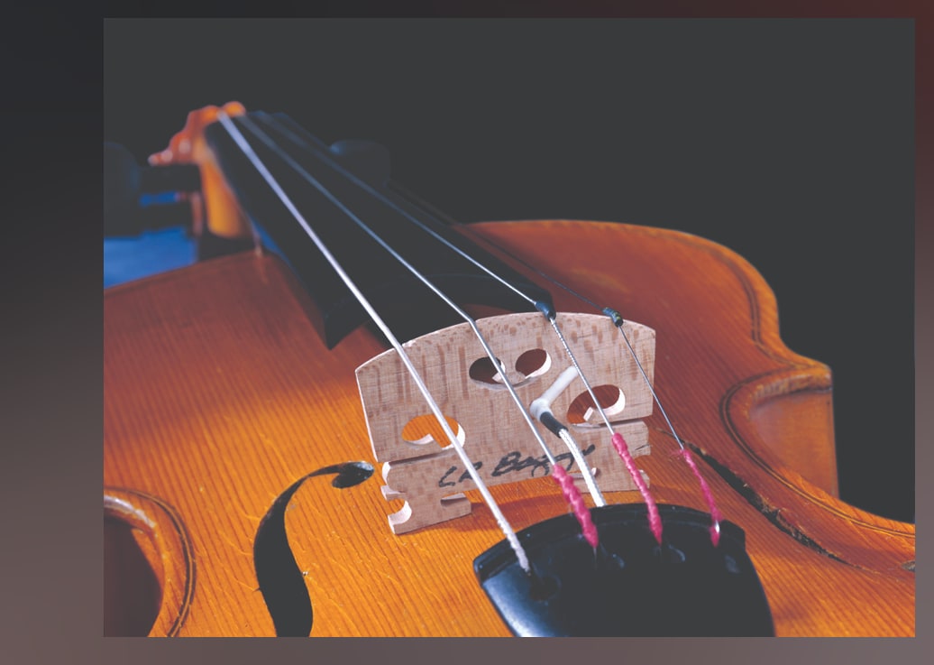 Violin Bridge Pickup with Carpenter Jack LR Baggs