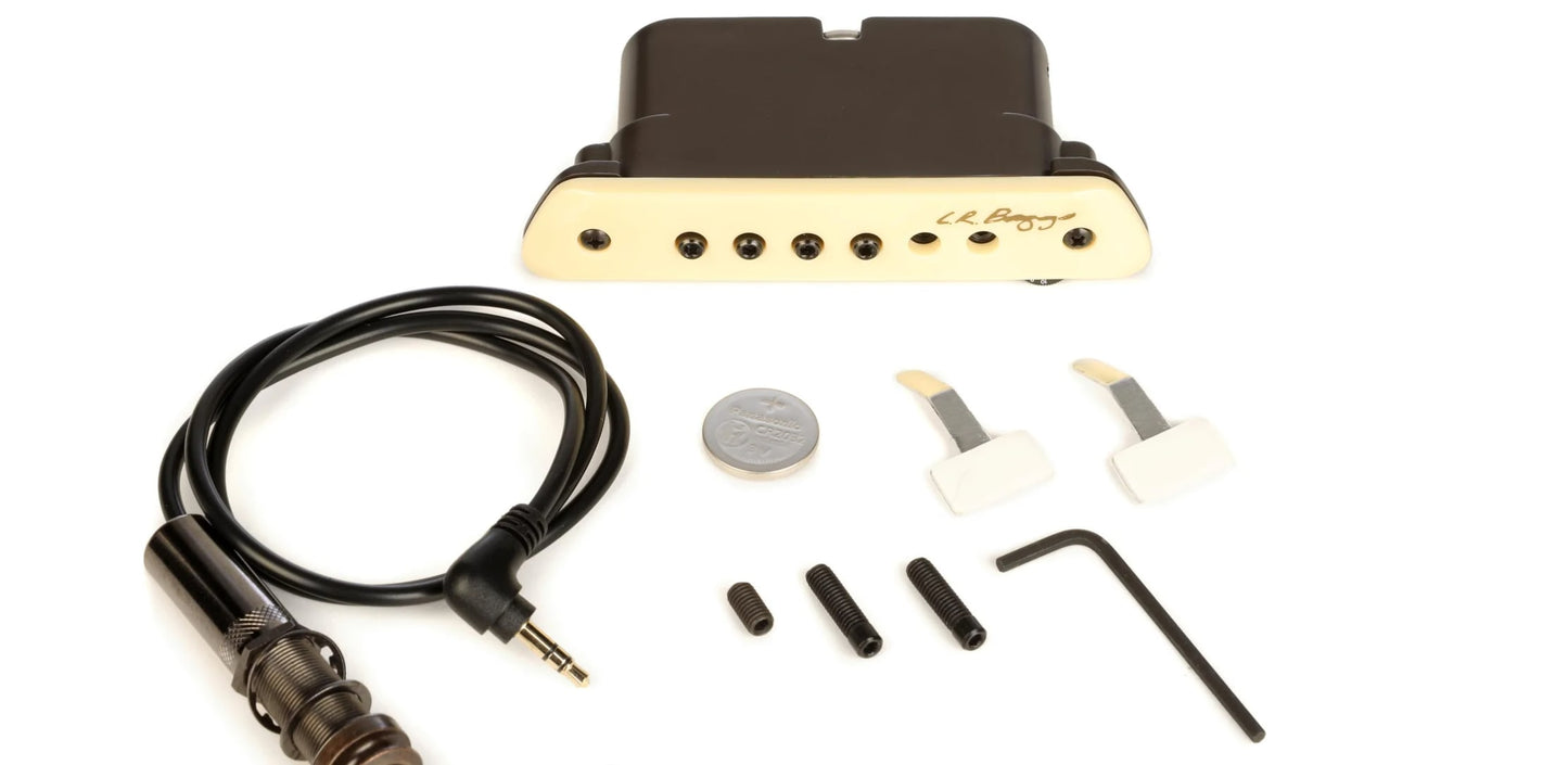 Acoustic Guitar Soundhole Humbucker Pickup Active LR Baggs M1